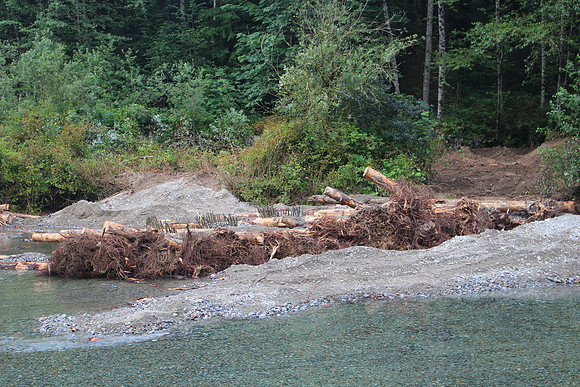2014 Indian River Watershed Restoration-59