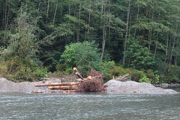 2014 Indian River Watershed Restoration-60