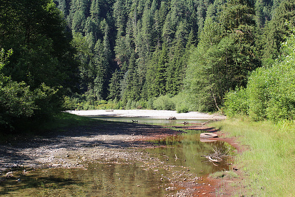 2014 Indian River Watershed Restoration-66