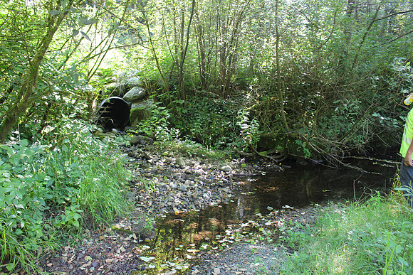 2014 Indian River Watershed Restoration-67