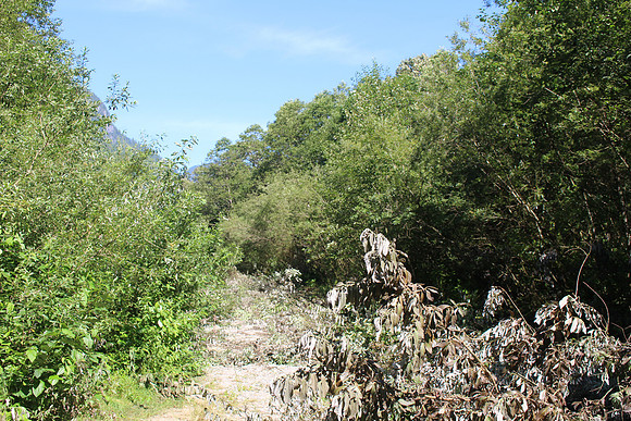 2014 Indian River Watershed Restoration-69