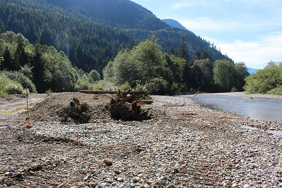 2014 Indian River Watershed Restoration-72