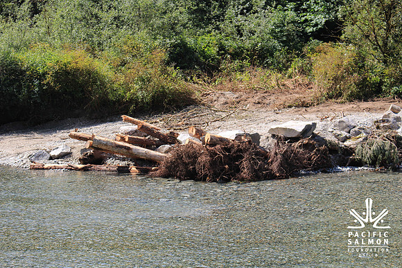 2014 Indian River Watershed Restoration-18 - LOGO