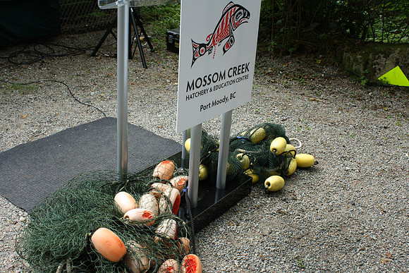 2014 Mossom Creek Hatchery & Education Centre-2
