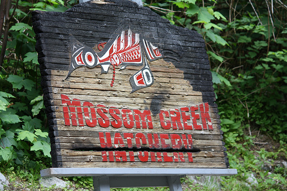 2014 Mossom Creek Hatchery & Education Centre-42
