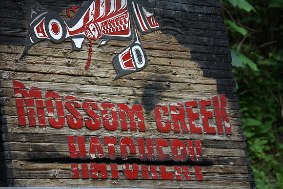 2014 Mossom Creek Hatchery & Education Centre-43