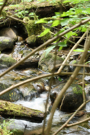 2014 Mossom Creek Hatchery & Education Centre-44