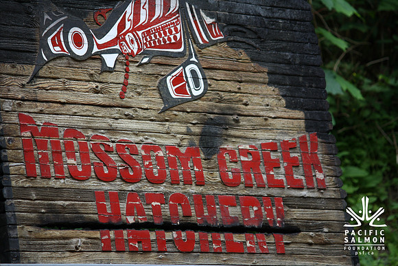 2014 Mossom Creek Hatchery & Education Centre-43 - LOGO