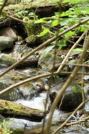 2014 Mossom Creek Hatchery & Education Centre-44 - LOGO