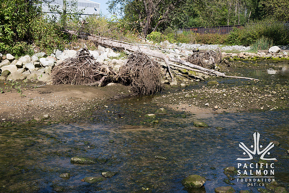 Spirit Trail - MP Andrew Saxton - Sombilon Photography--51