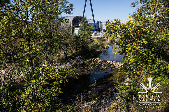 Spirit Trail - MP Andrew Saxton - Sombilon Photography-