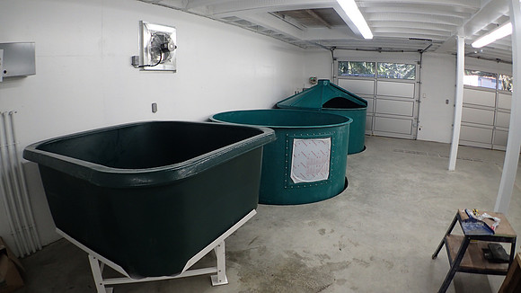 2015 Mossom Creek Hatchery Rebuild-3
