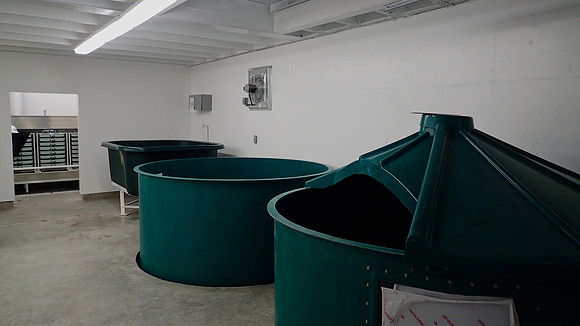 2015 Mossom Creek Hatchery Rebuild-6
