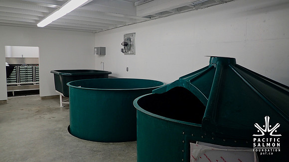 2015 Mossom Creek Hatchery Rebuild-6 - LOGO