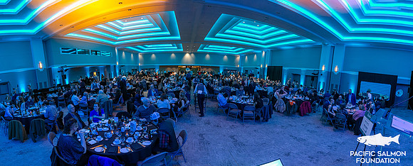 4-PANOS-PSF GALA-8