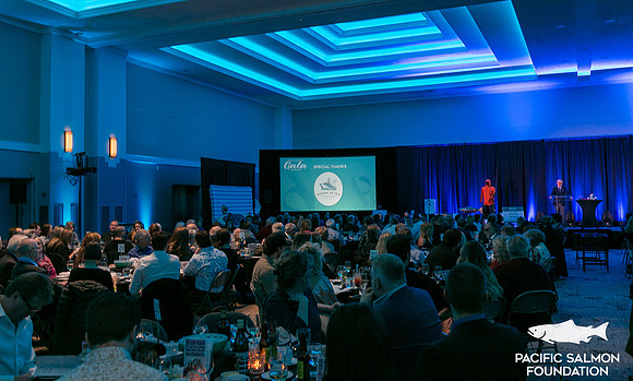 7-SETUP-PSF GALA-17