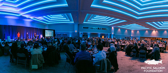 4-PANOS-PSF GALA-7