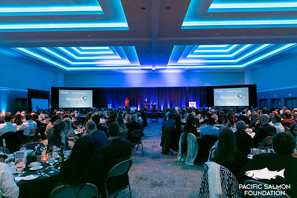 4-PANOS-PSF GALA-6