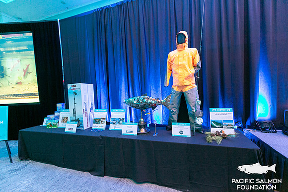 7-SETUP-PSF GALA-99