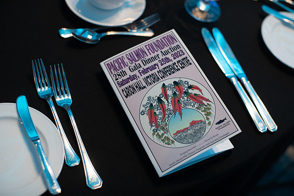 7-SETUP-PSF GALA-6