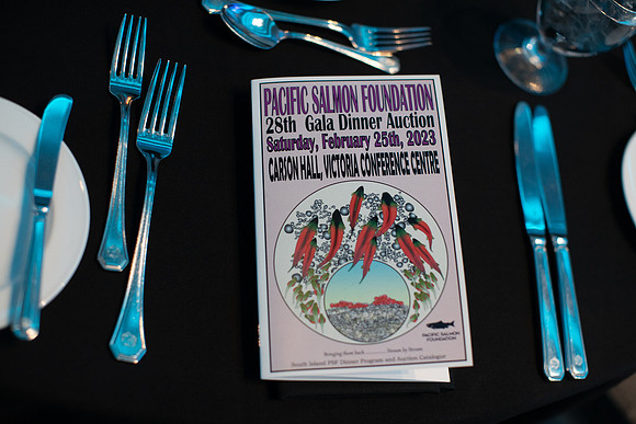 7-SETUP-PSF GALA-7