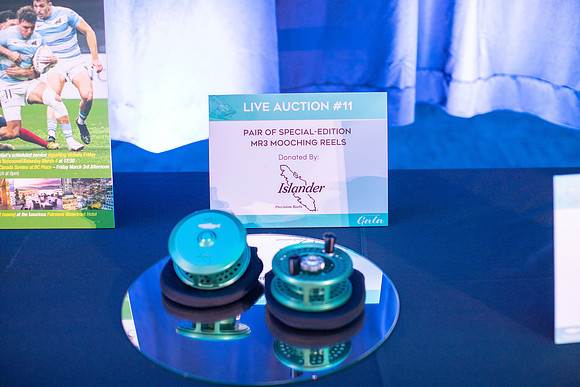 7-SETUP-PSF GALA-93