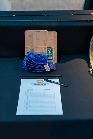 7-SETUP-PSF GALA-115