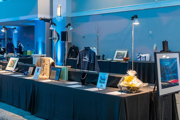 7-SETUP-PSF GALA-106