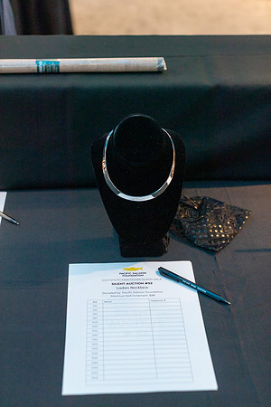 7-SETUP-PSF GALA-110