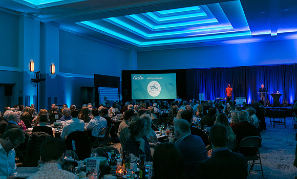 7-SETUP-PSF GALA-17