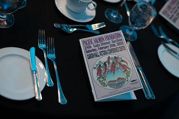 7-SETUP-PSF GALA-12