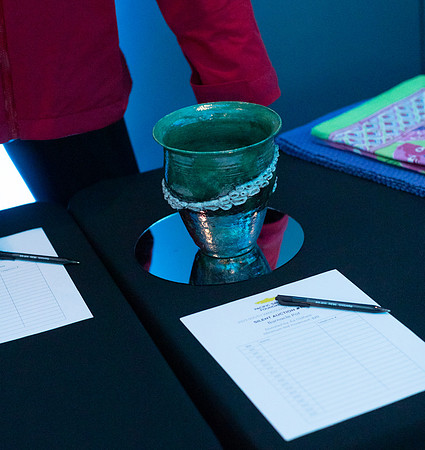 7-SETUP-PSF GALA-187
