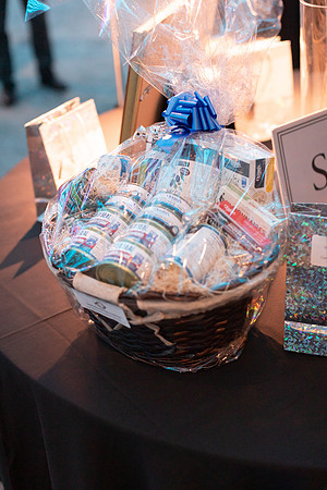 7-SETUP-PSF GALA-218