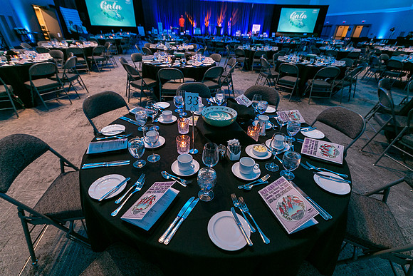 7-SETUP-PSF GALA-8