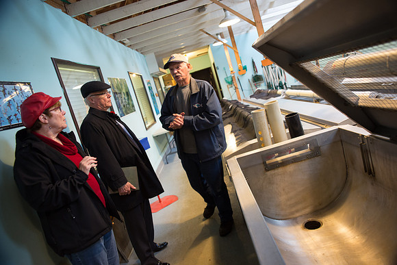 PSF - TYNEHEAD HATCHERY - MP Ken Hardie-70