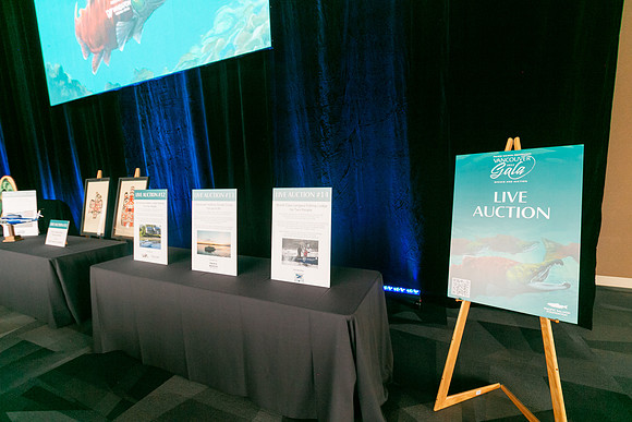4-SETUP-PSF GALA 2022-61