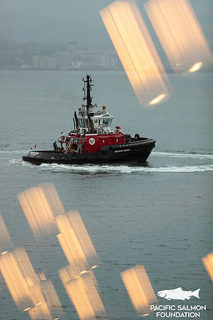 PSF GALA 2023 -264
