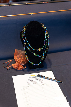 PSF GALA 2023 -595