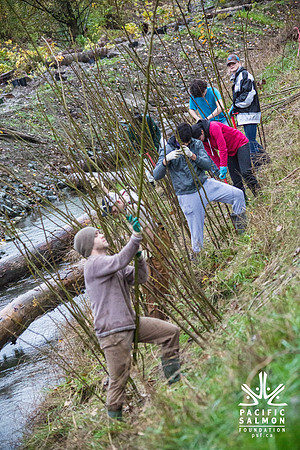 TRESTLE PLANTING - BROWNLANDS WETLAND RESTORATION PROJECT - Sombilon Photography-65