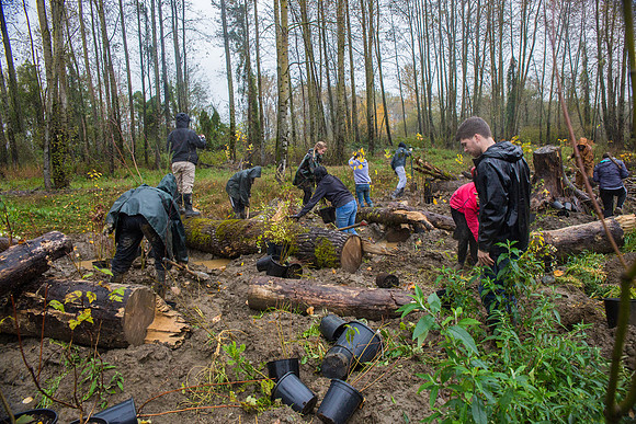 TRESTLE PLANTING - BROWNLANDS WETLAND RESTORATION PROJECT - Sombilon Photography-193