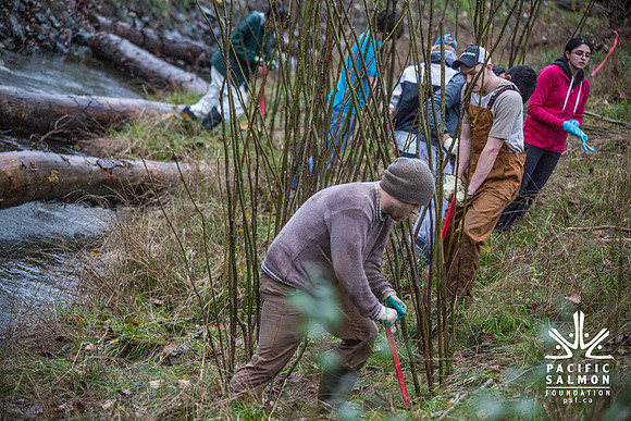 TRESTLE PLANTING - BROWNLANDS WETLAND RESTORATION PROJECT - Sombilon Photography-68
