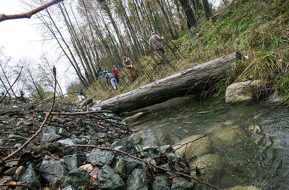 TRESTLE PLANTING - BROWNLANDS WETLAND RESTORATION PROJECT - Sombilon Photography-97