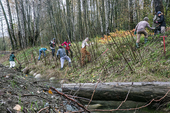 TRESTLE PLANTING - BROWNLANDS WETLAND RESTORATION PROJECT - Sombilon Photography-92