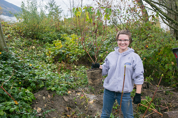 TRESTLE PLANTING - BROWNLANDS WETLAND RESTORATION PROJECT - Sombilon Photography
