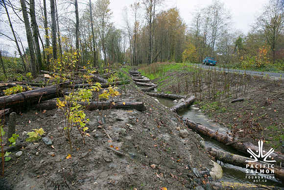 TRESTLE PLANTING - BROWNLANDS WETLAND RESTORATION PROJECT - Sombilon Photography-152