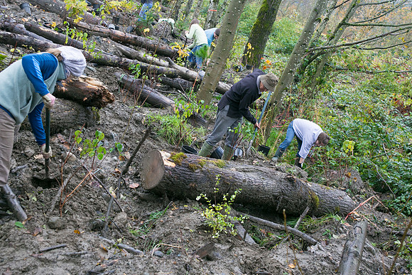 TRESTLE PLANTING - BROWNLANDS WETLAND RESTORATION PROJECT - Sombilon Photography-107
