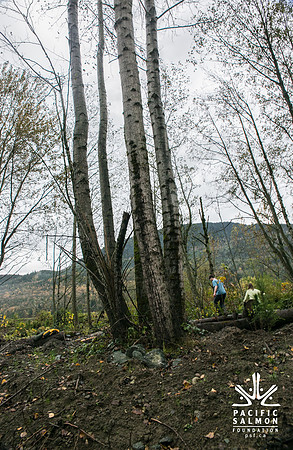 TRESTLE PLANTING - BROWNLANDS WETLAND RESTORATION PROJECT - Sombilon Photography-128