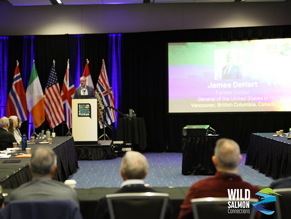 I - Wild Salmon Connections -PSF-30
