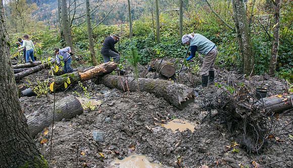 TRESTLE PLANTING - BROWNLANDS WETLAND RESTORATION PROJECT - Sombilon Photography-106