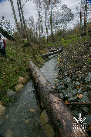 TRESTLE PLANTING - BROWNLANDS WETLAND RESTORATION PROJECT - Sombilon Photography-104
